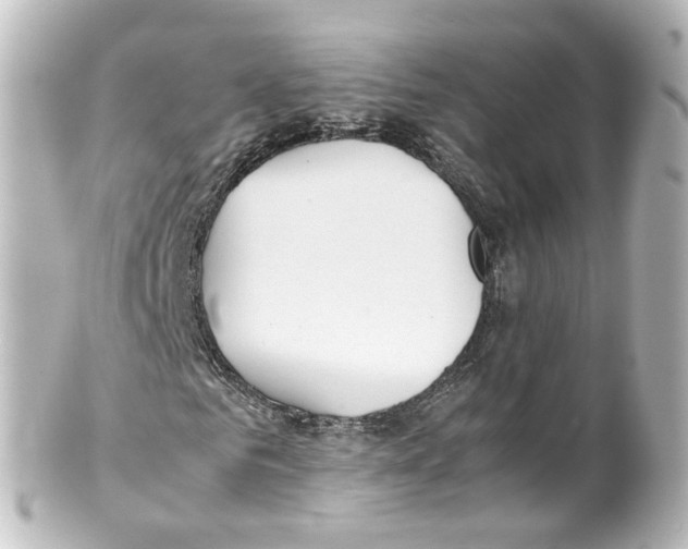 X0000100230961200806271746