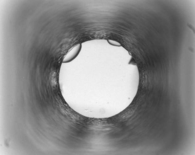 X0000100230962200806271746