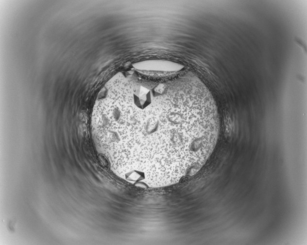 X0000100230964200806271746