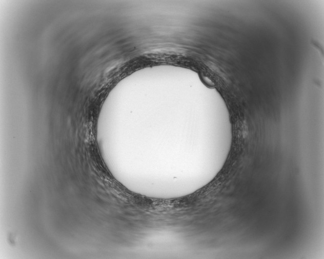 X0000100230965200806271746