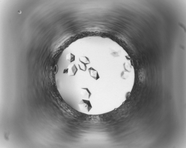 X0000100230968200806271746