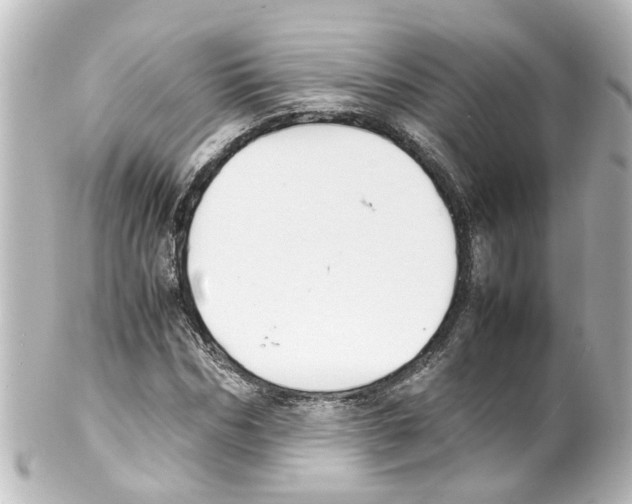 X0000100230970200806271746