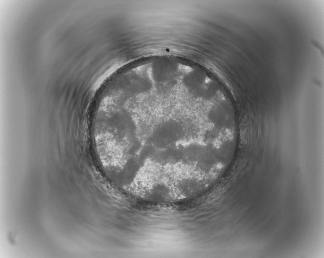 X0000100230975200806271746
