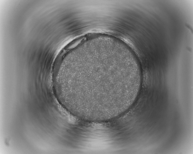 X0000100230976200806271746