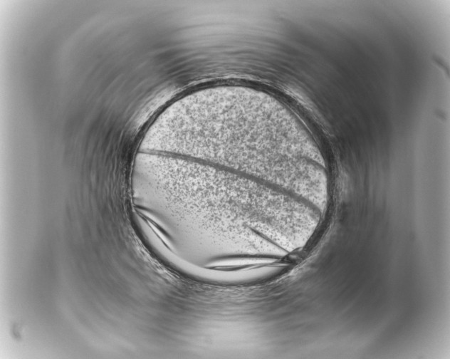 X0000100230977200806271746