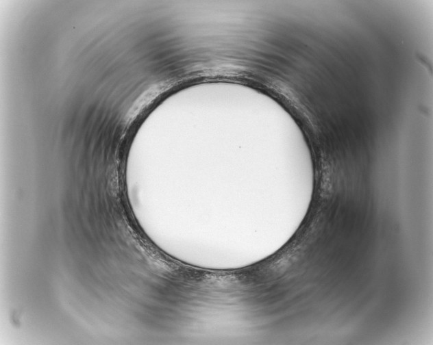 X0000100230978200806271746