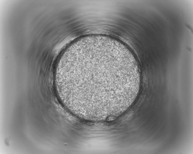 X0000100230979200806271746