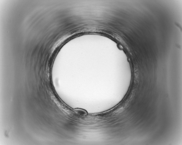 X0000100230981200806271746