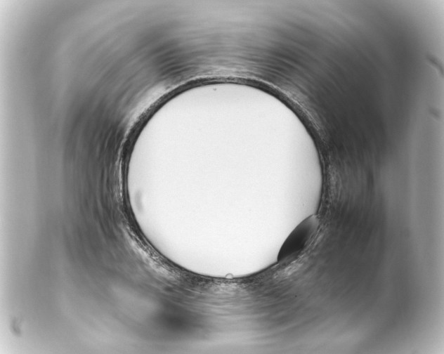 X0000100230982200806271746
