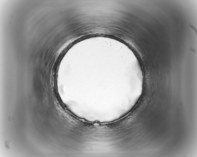 X0000100230983200806271746