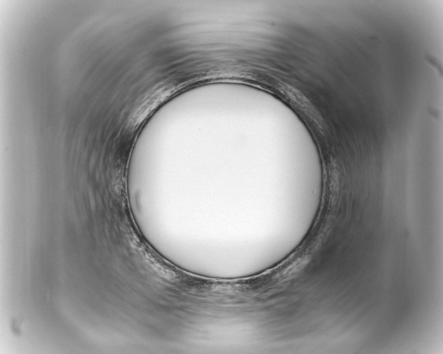 X0000100230985200806271746
