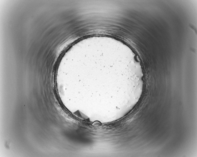 X0000100230987200806271746