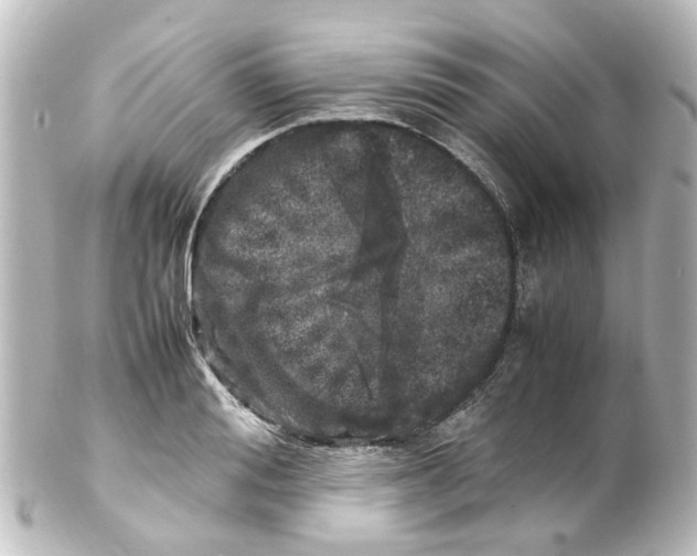 X0000100230988200806271746