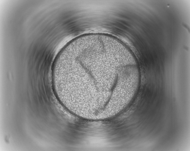 X0000100230990200806271745