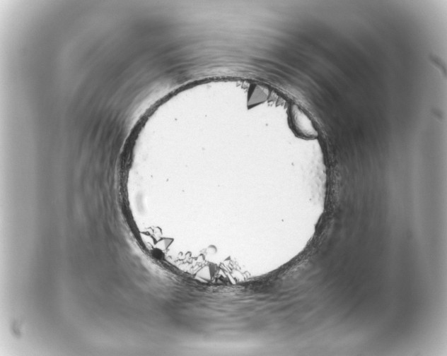 X0000100230991200806271745