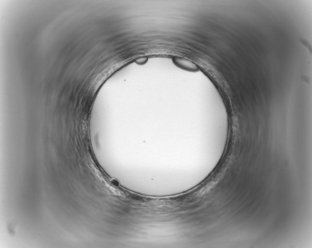 X0000100230993200806271745