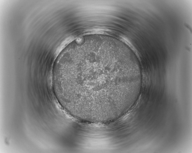 X0000100230994200806271745