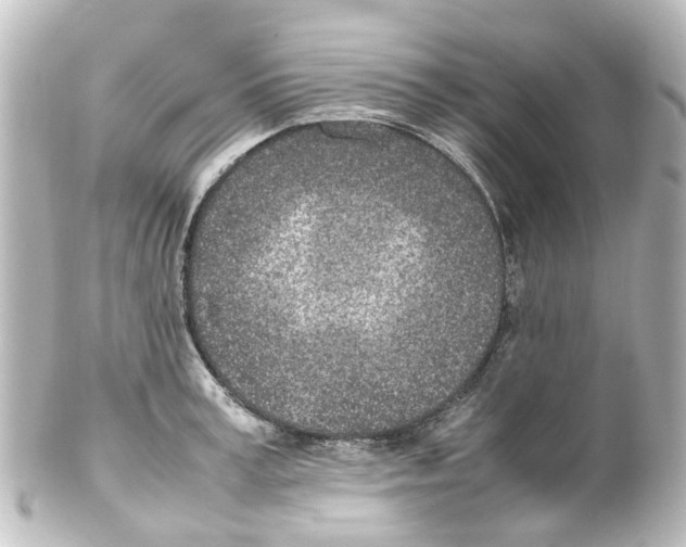X0000100230995200806271745