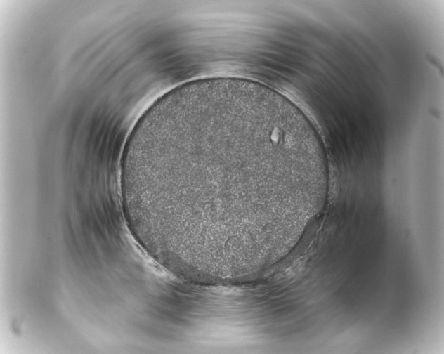 X0000100230996200806271745