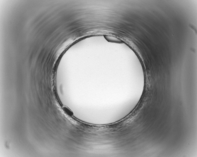 X0000100230997200806271745