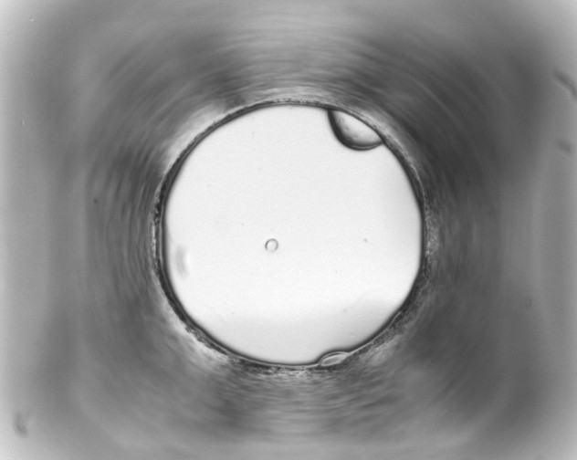 X0000100230999200806271745