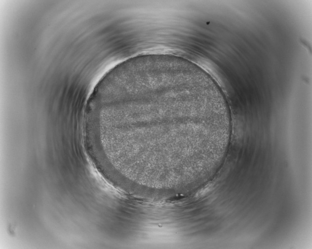 X0000100231000200806271745