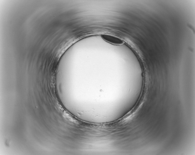 X0000100231001200806271745