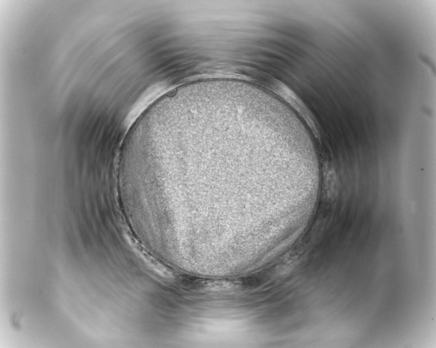 X0000100231002200806271745