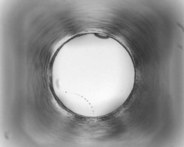 X0000100231003200806271745