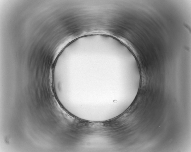 X0000100231006200806271745