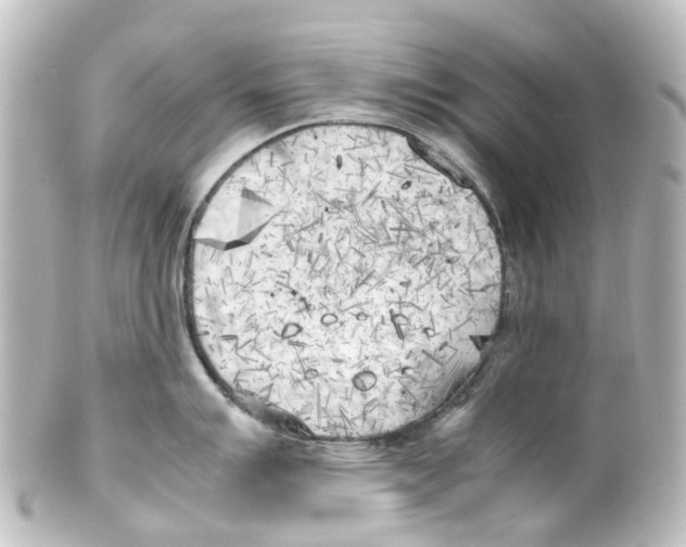 X0000100231007200806271745
