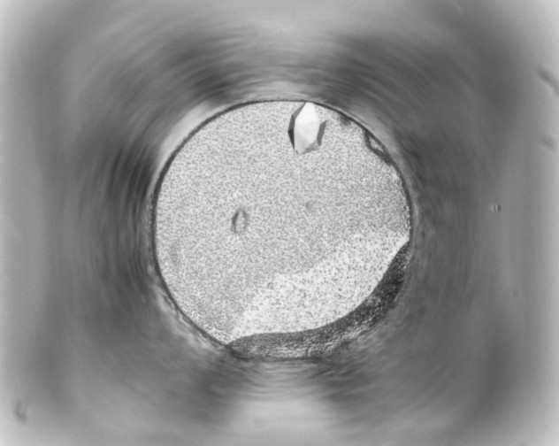X0000100231008200806271745