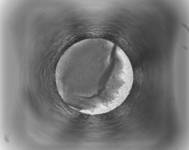 X0000100231009200806271745