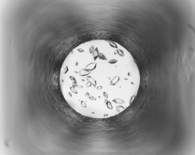 X0000100231010200806271745