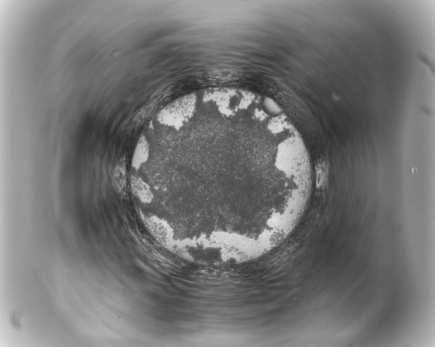X0000100231011200806271745
