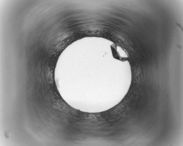 X0000100231013200806271745