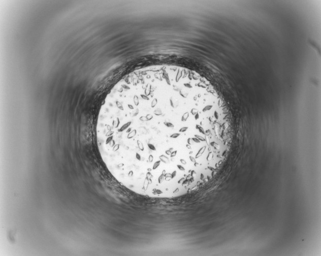 X0000100231014200806271745
