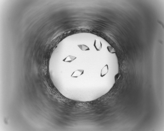 X0000100231015200806271745