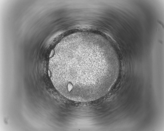 X0000100231016200806271745