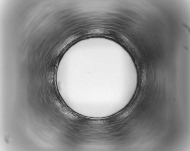 X0000100231017200806271745