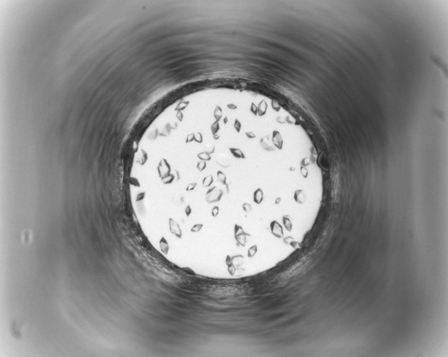 X0000100231021200806271745