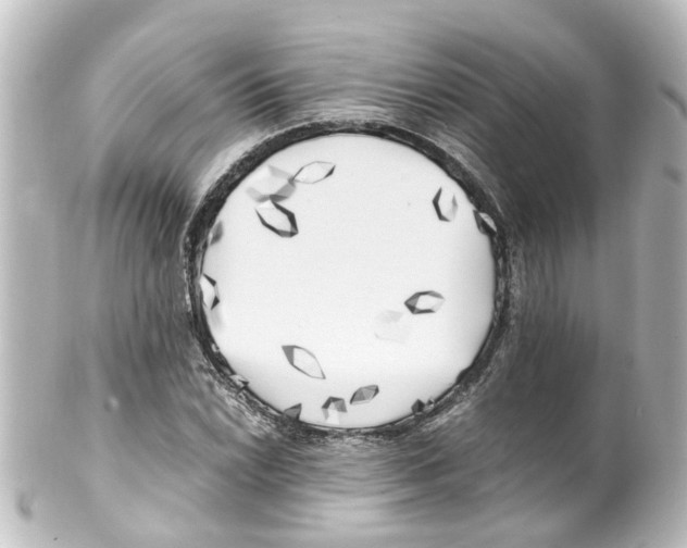 X0000100231022200806271745