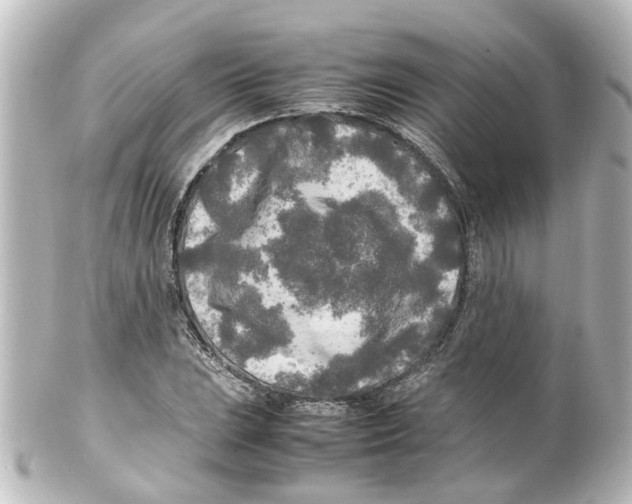 X0000100231023200806271745