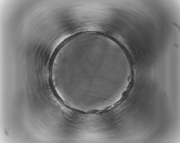 X0000100231024200806271745
