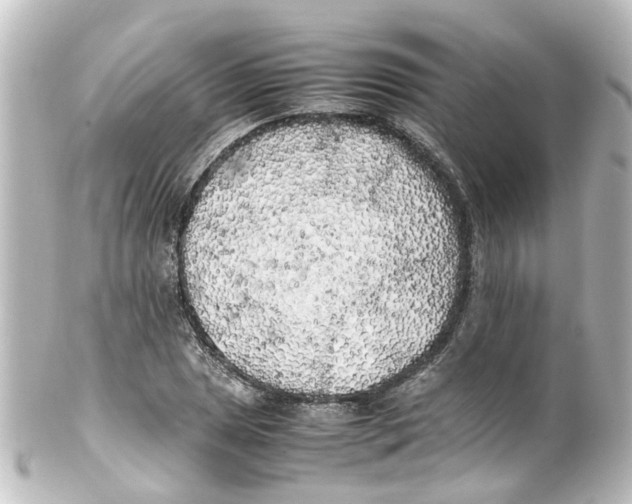 X0000100231025200806271745