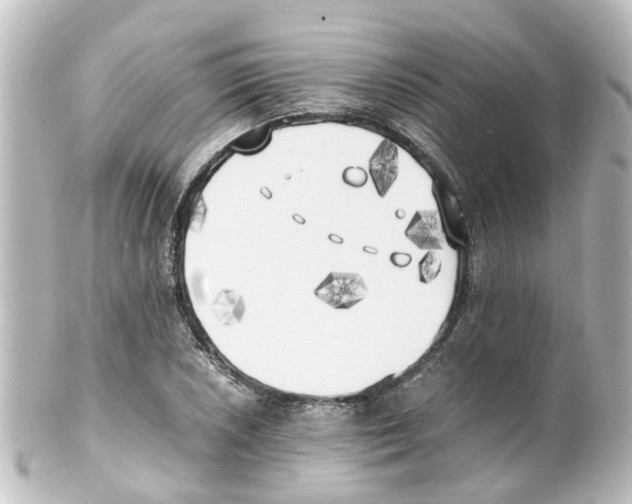 X0000100231026200806271745