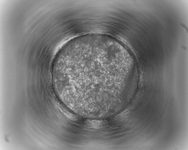 X0000100231027200806271745
