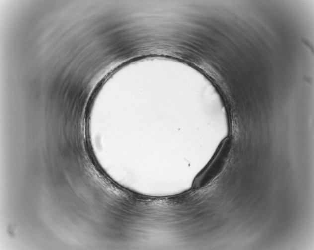 X0000100231028200806271745