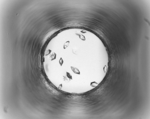 X0000100231030200806271745