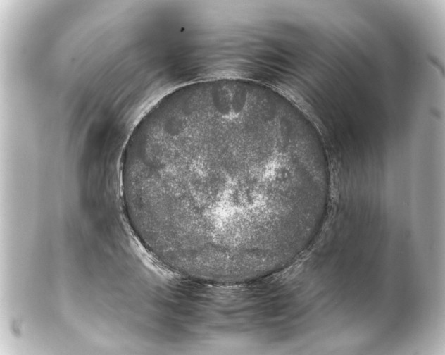 X0000100231031200806271745